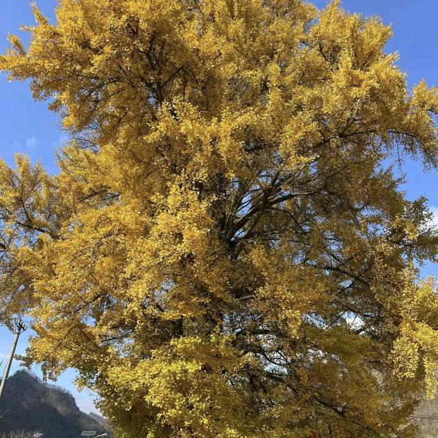 小于，从头开始！