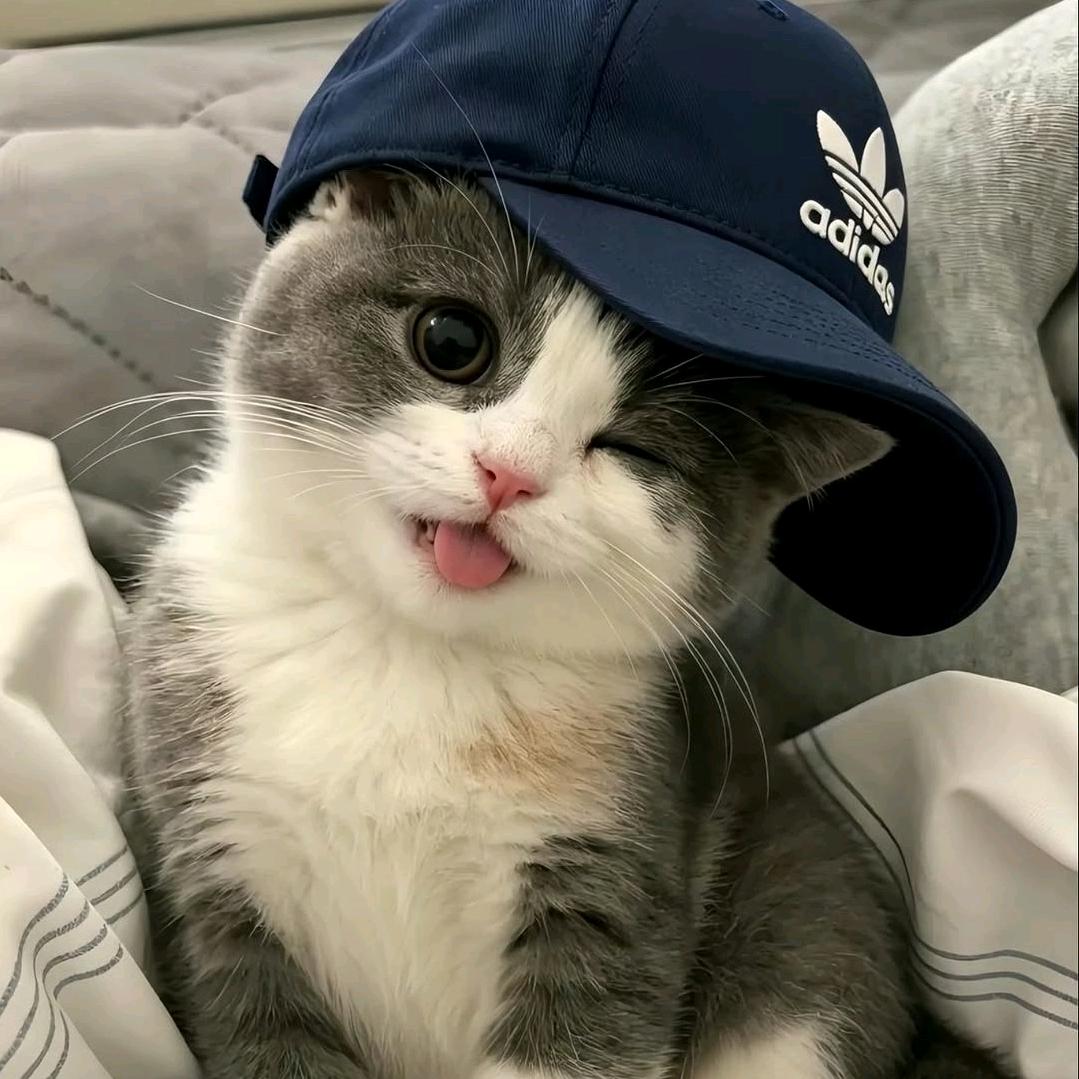 Ye头像