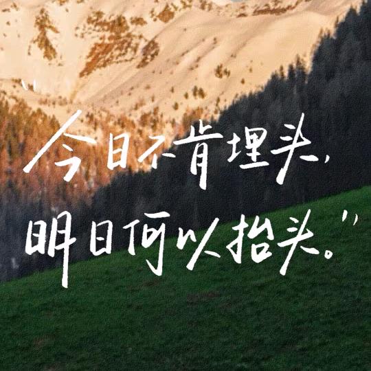 毅苼不變