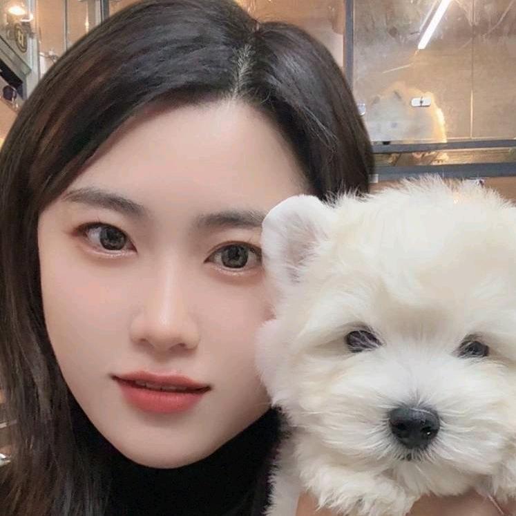 北京京秦西高地犬舍