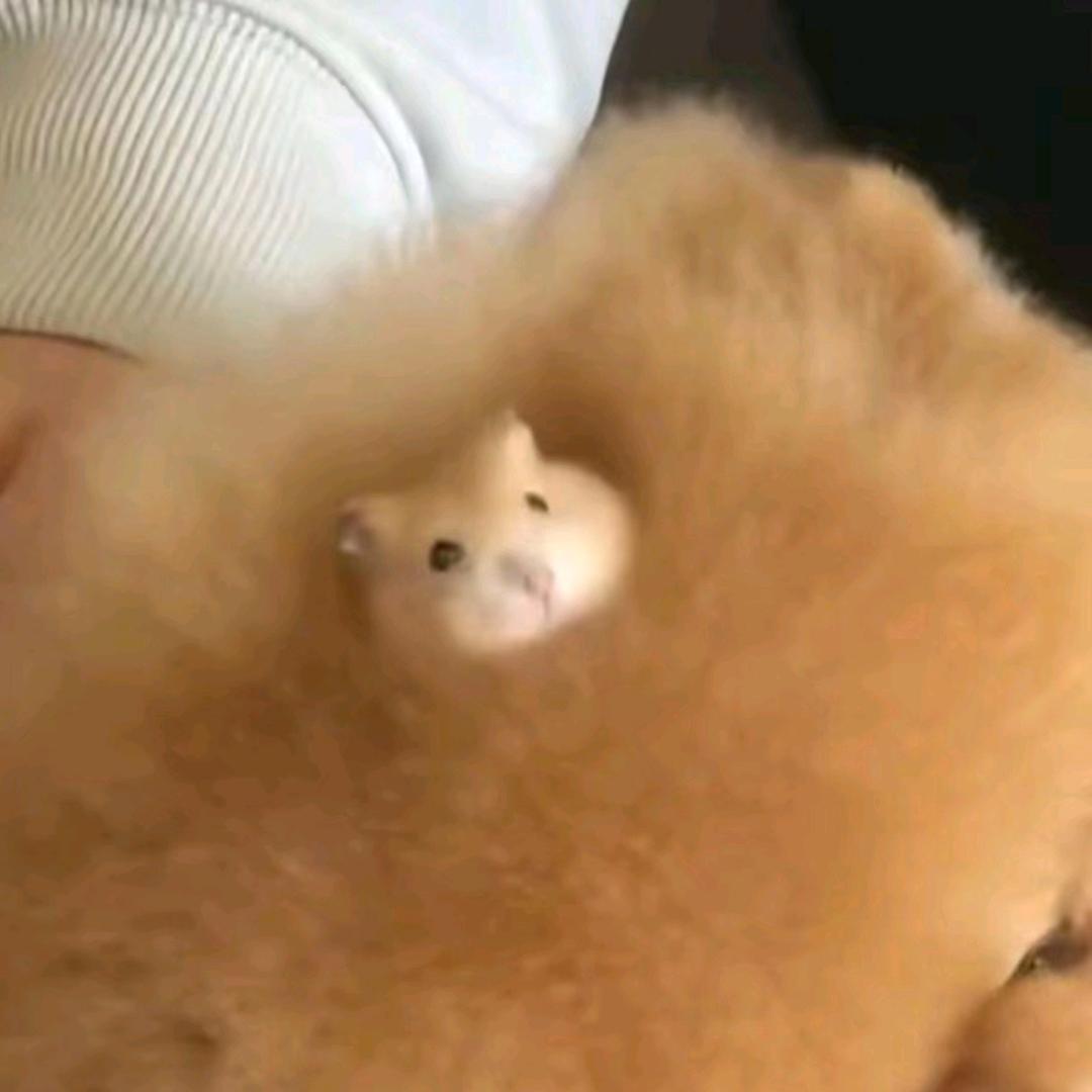 丨