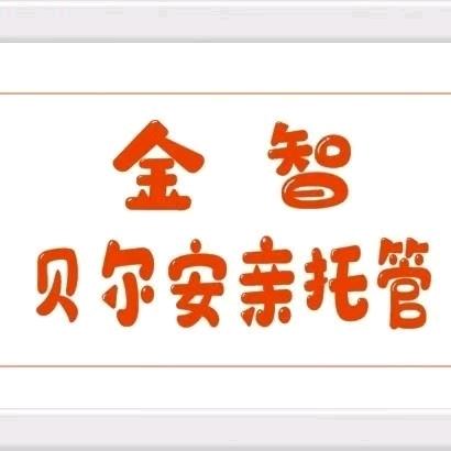 张老师的托管日常