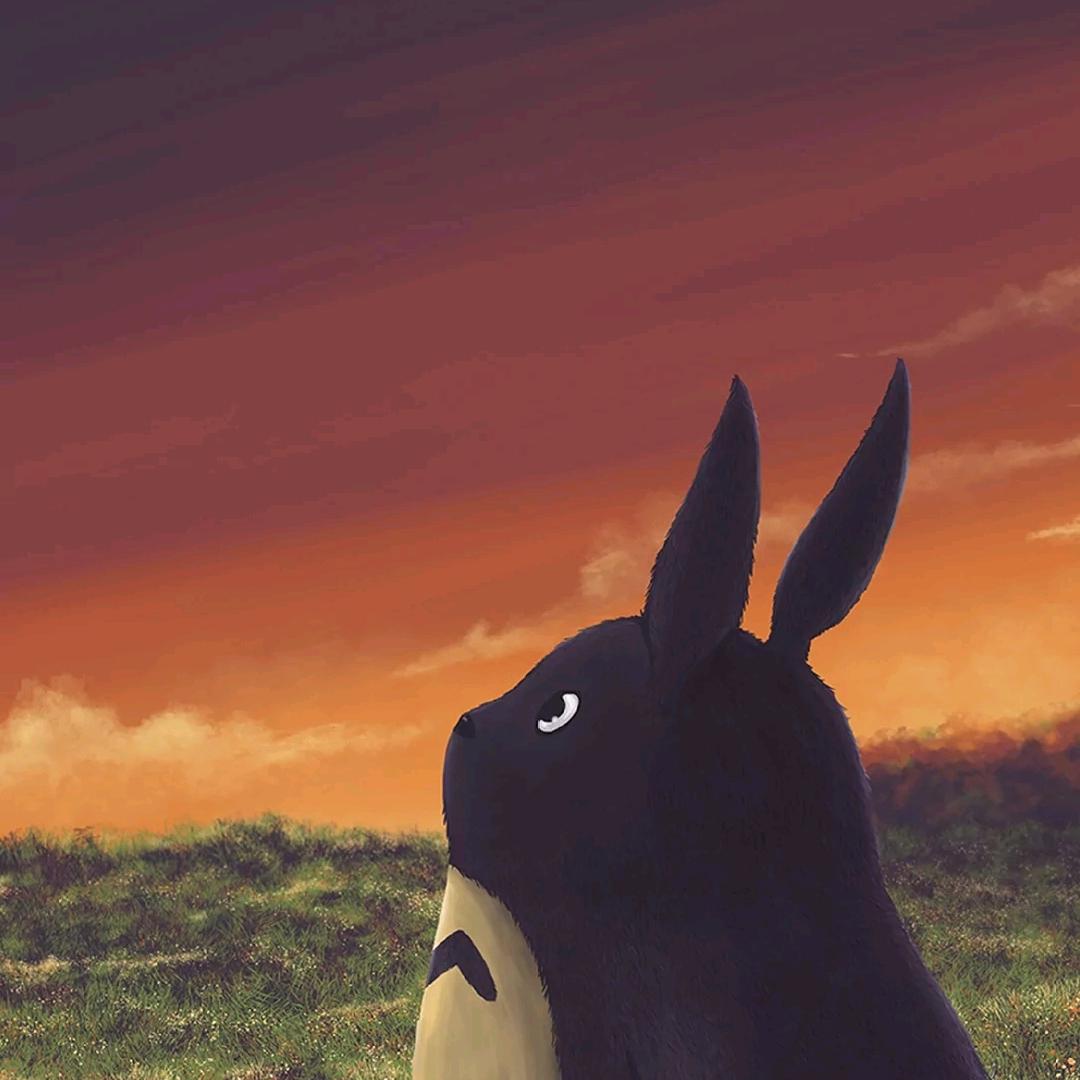 龙猫还是兔子？