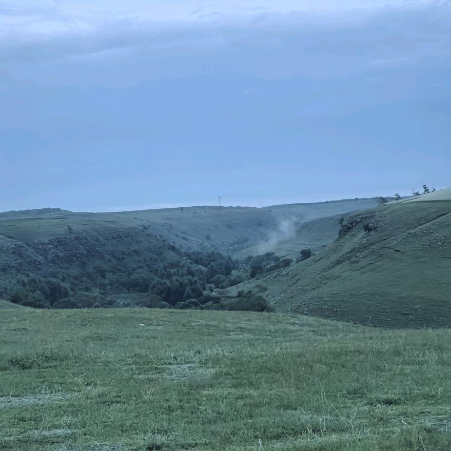 本马今年要开挂