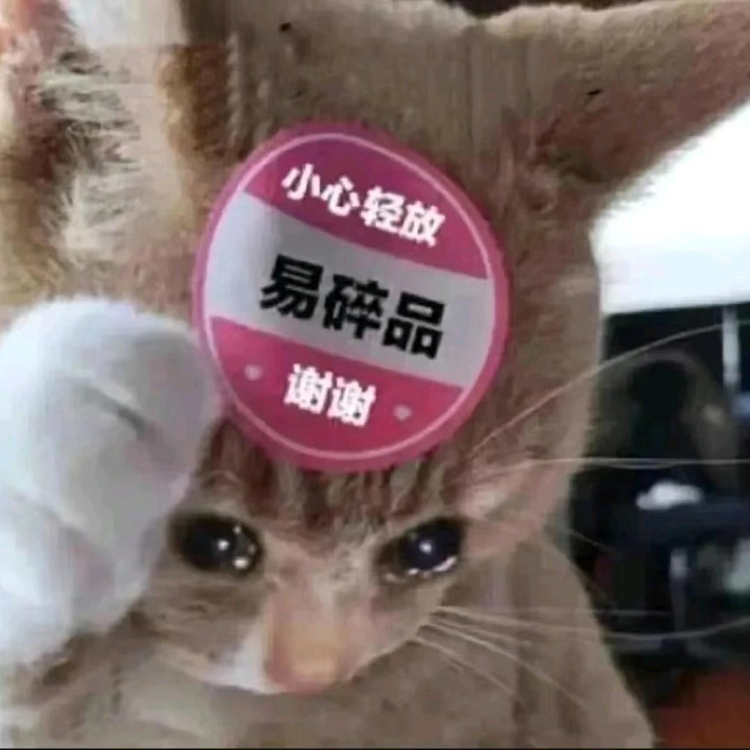 纯情好姐姐