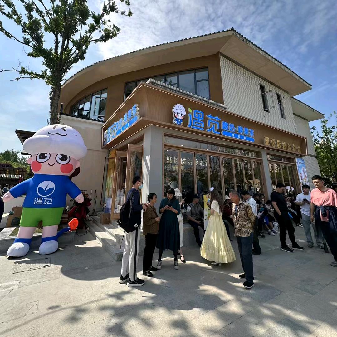 遇苋酸奶｜发财哥