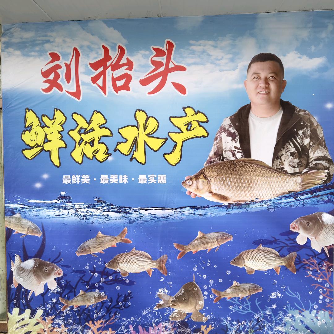 刘抬头《一个农村人》