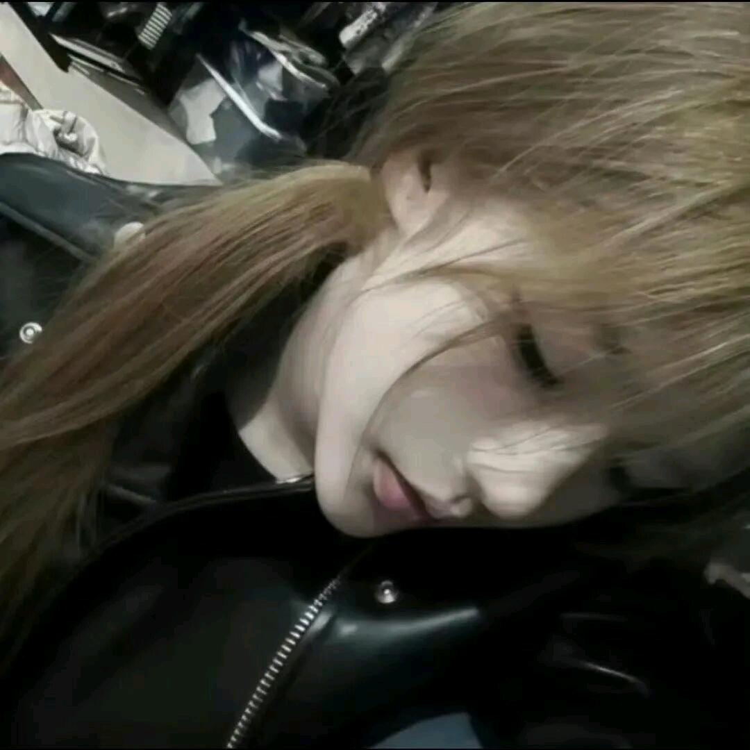 梓