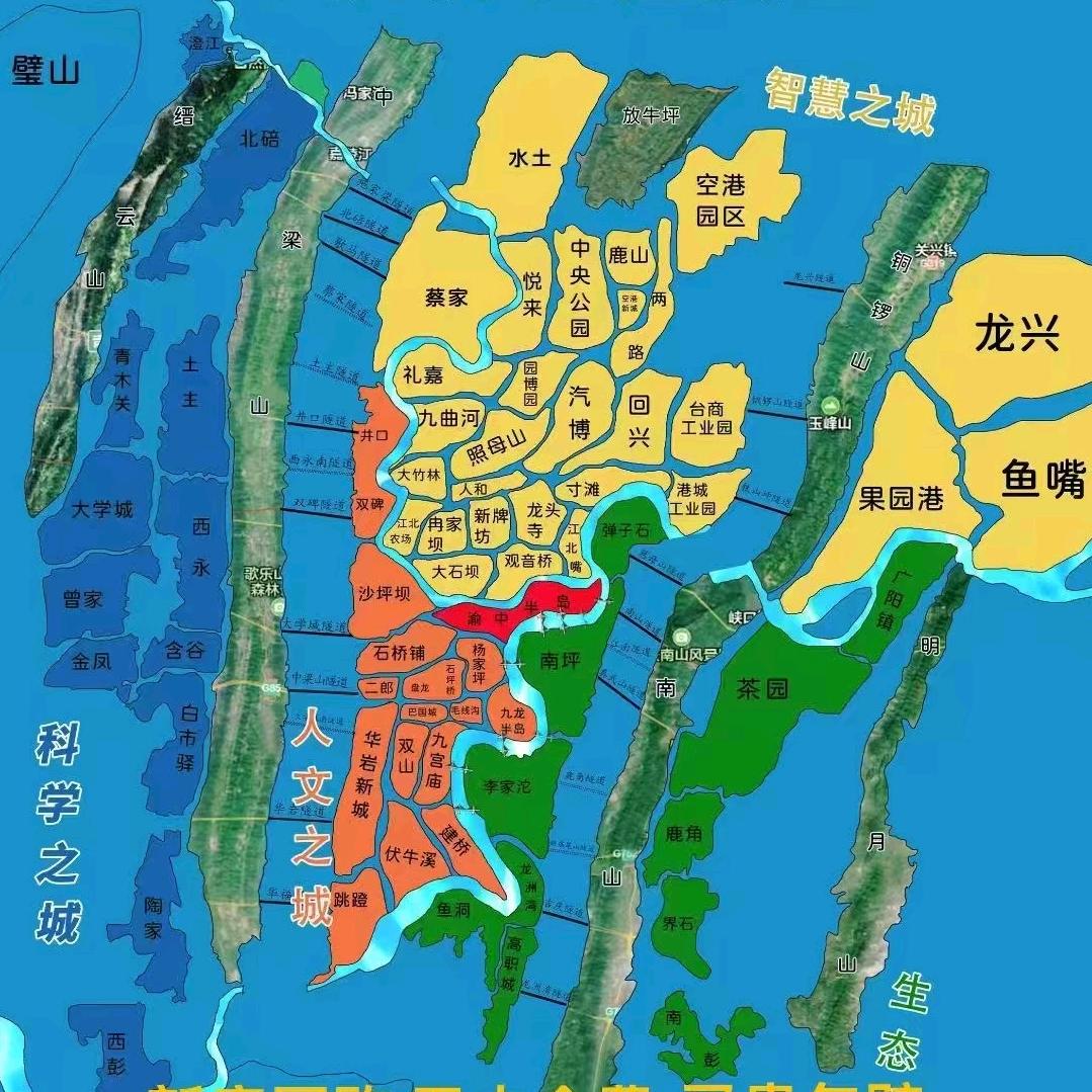 懂楼汇-渝房情报局