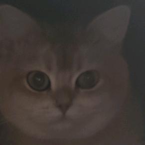 睡