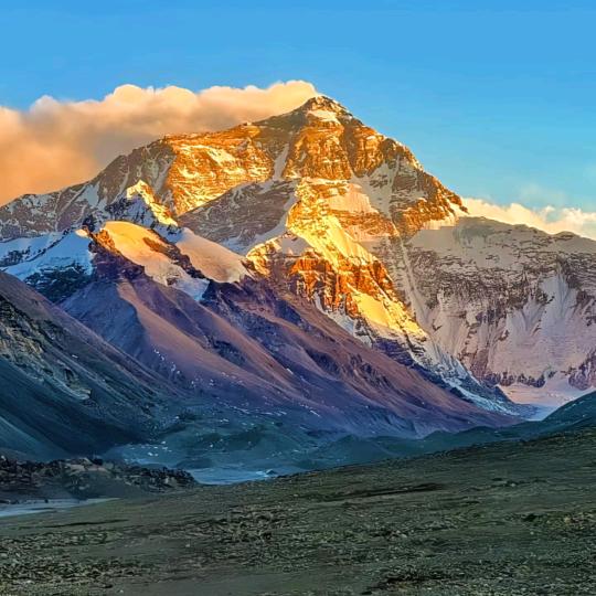 Ximena Alliance Store 希梅娜联合店