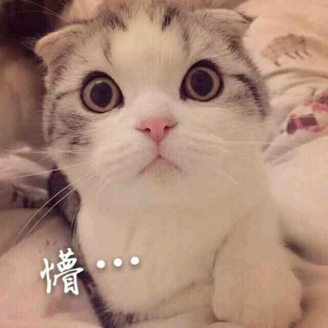 温茶