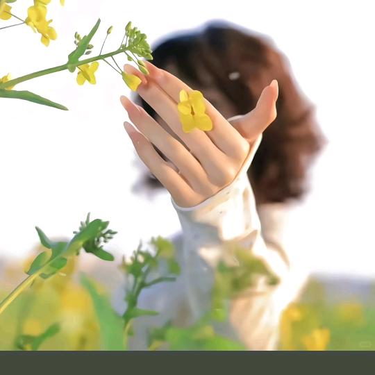 ಢ᭄浅笑安然🌺ོᝰ᭄²⁰²⁵: ಢ᭄