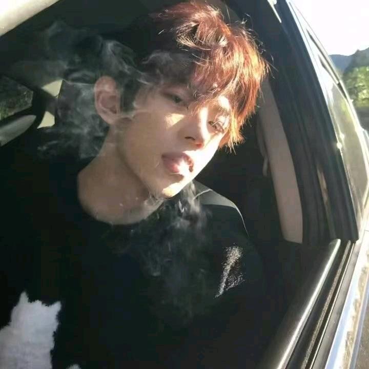 史