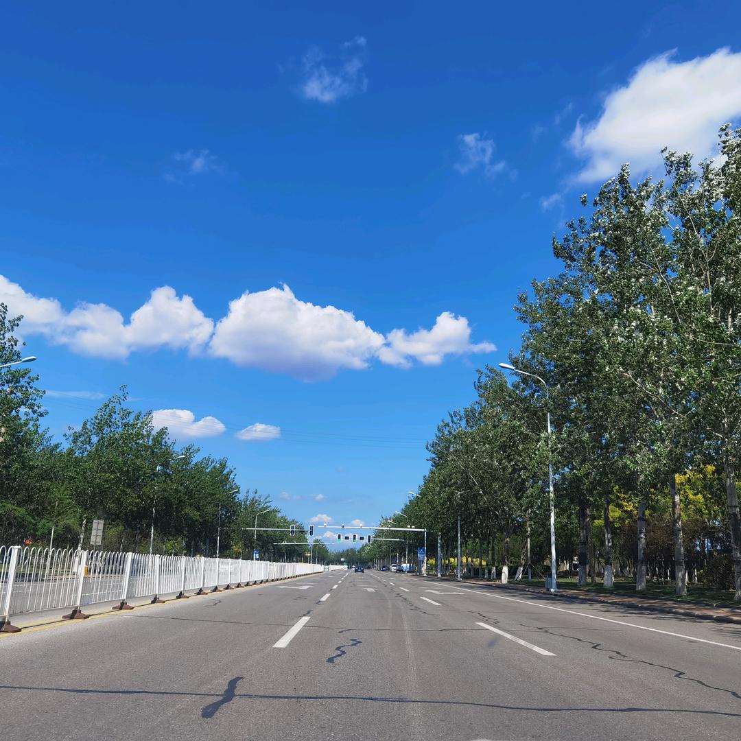 我想像风一样的自由