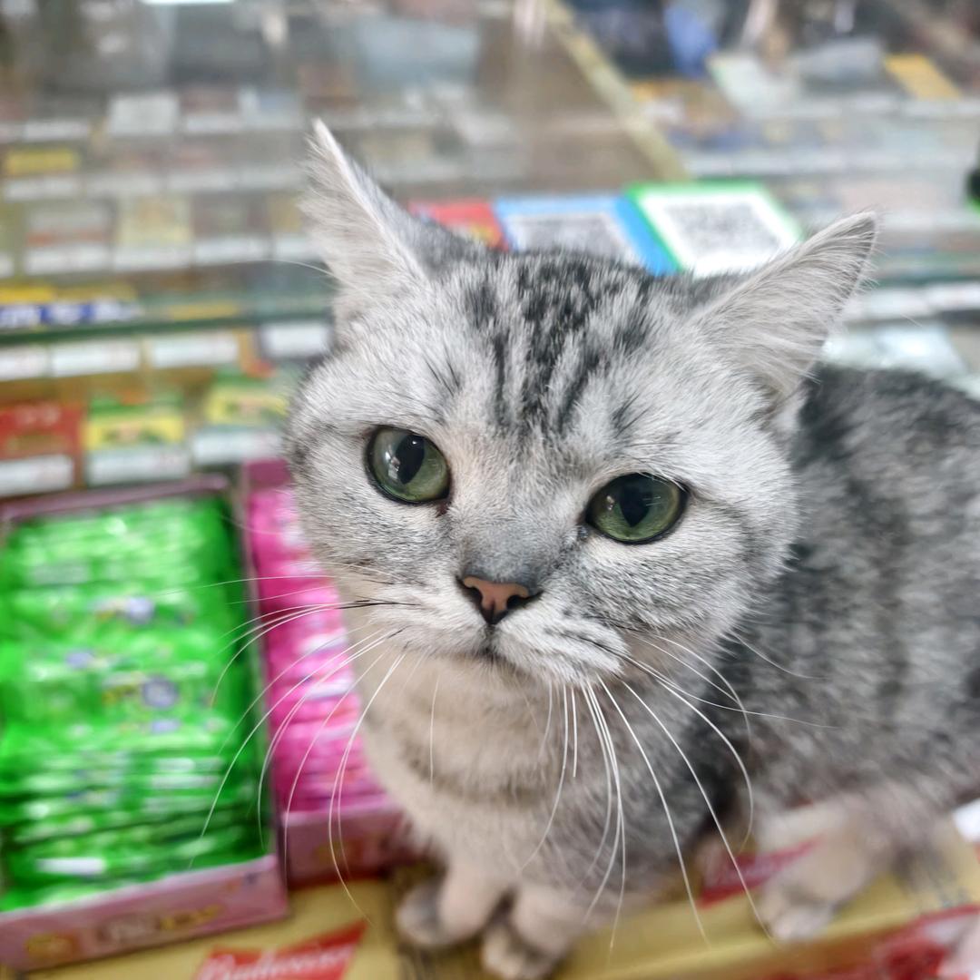 大家都觉得看