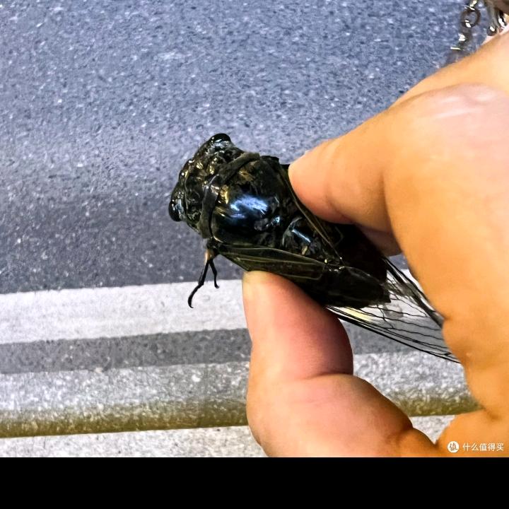 护宜壹号