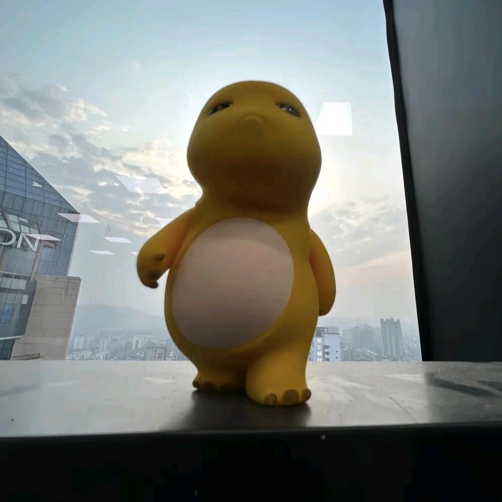 湖西柳