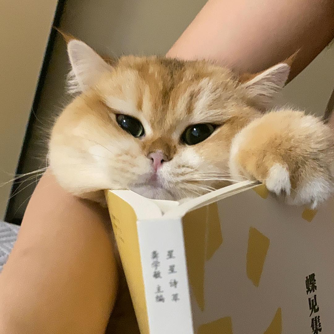 贰伍不二溜溜很六