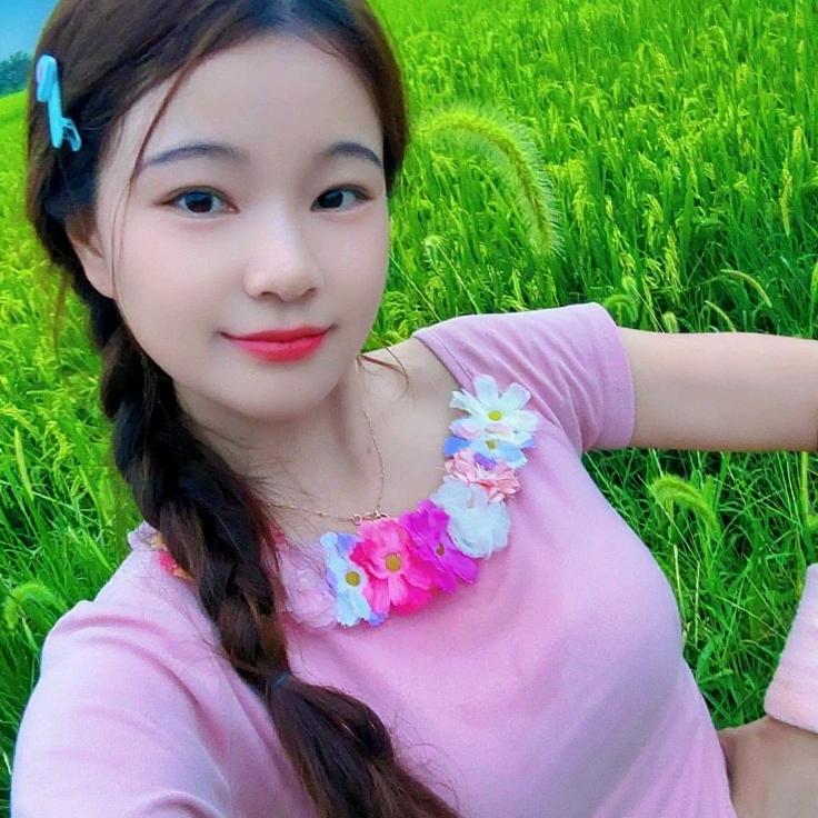 灰故里