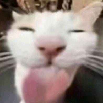 林林子