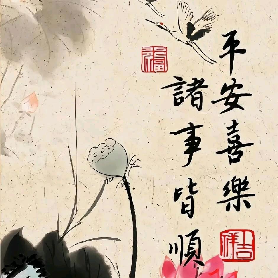 美阅