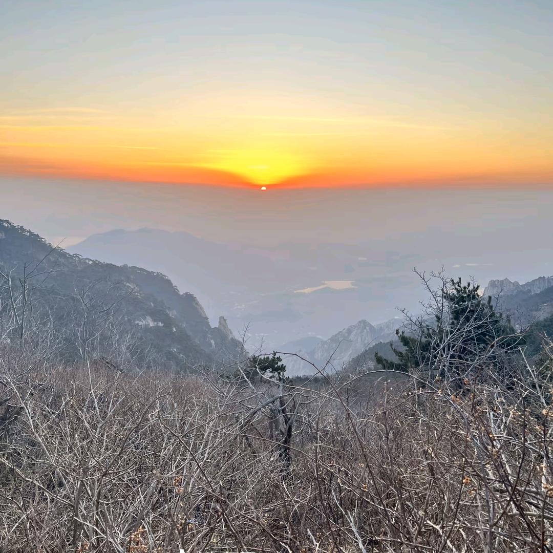 瑞泽