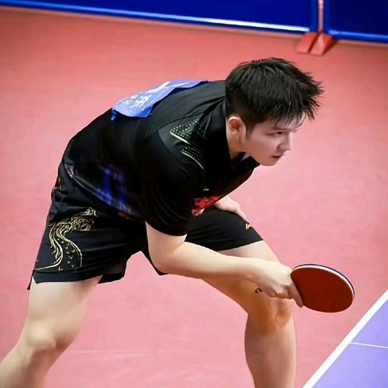 抓萤火虫的车胤