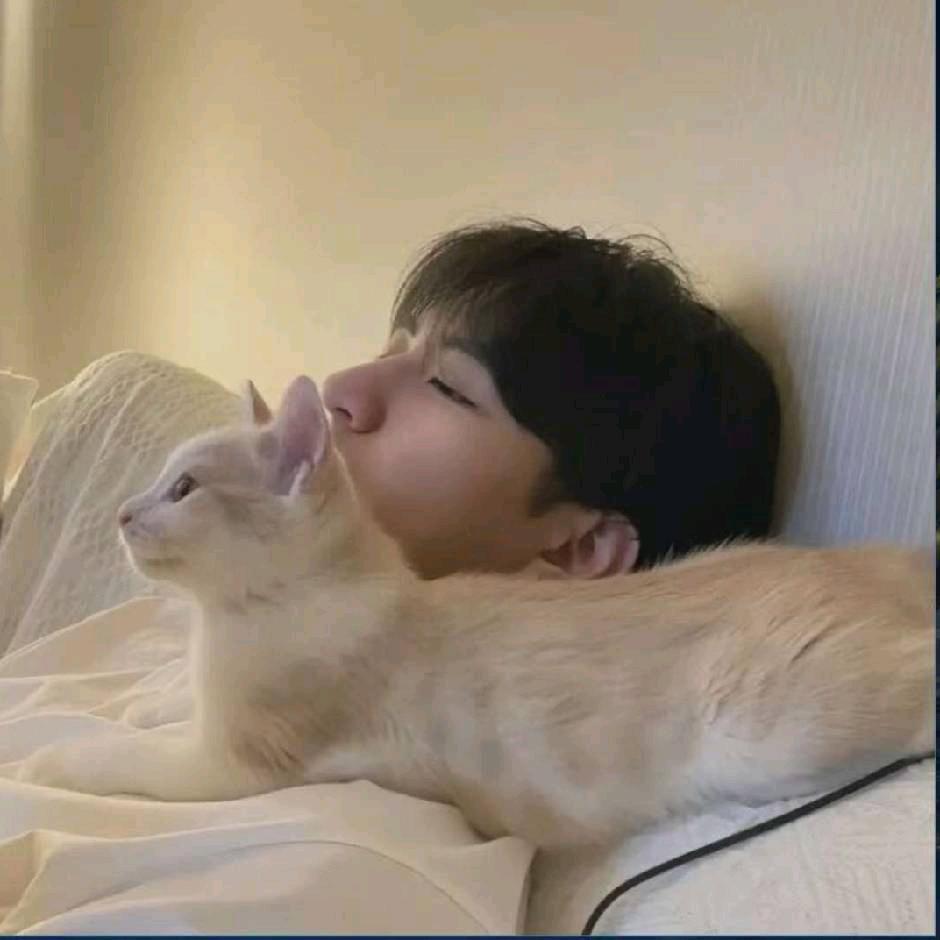 天天王者工作室（国服三带二）