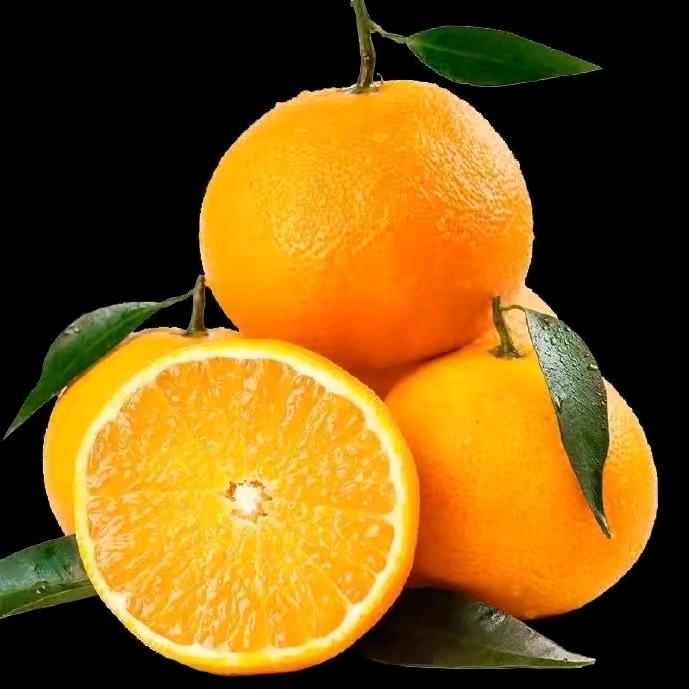 极讯-赣南果农阿橙
