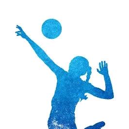 通海气排球协会 和谐俱乐部