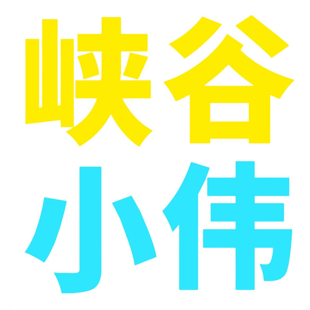 峡谷小伟