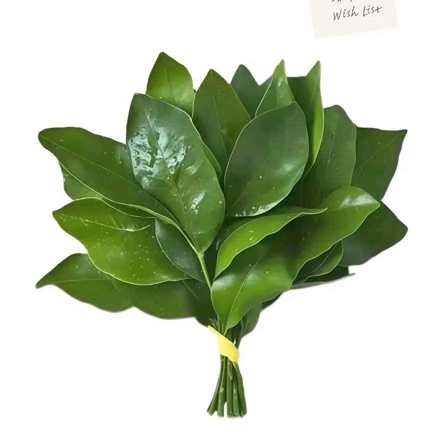 火锅