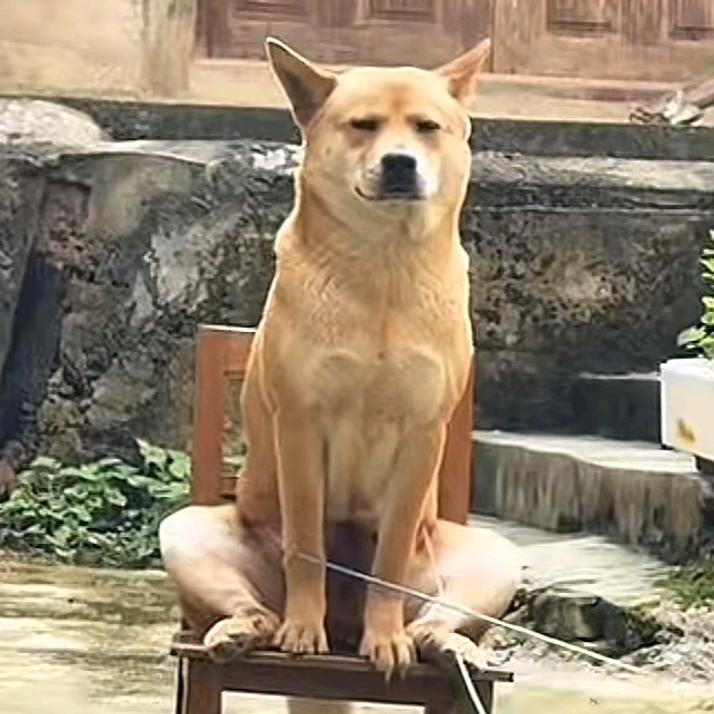 宽阿