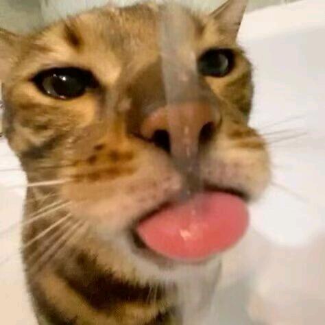 🥔🥔🥔马铃薯批发月牙湾🥔🥔🥔