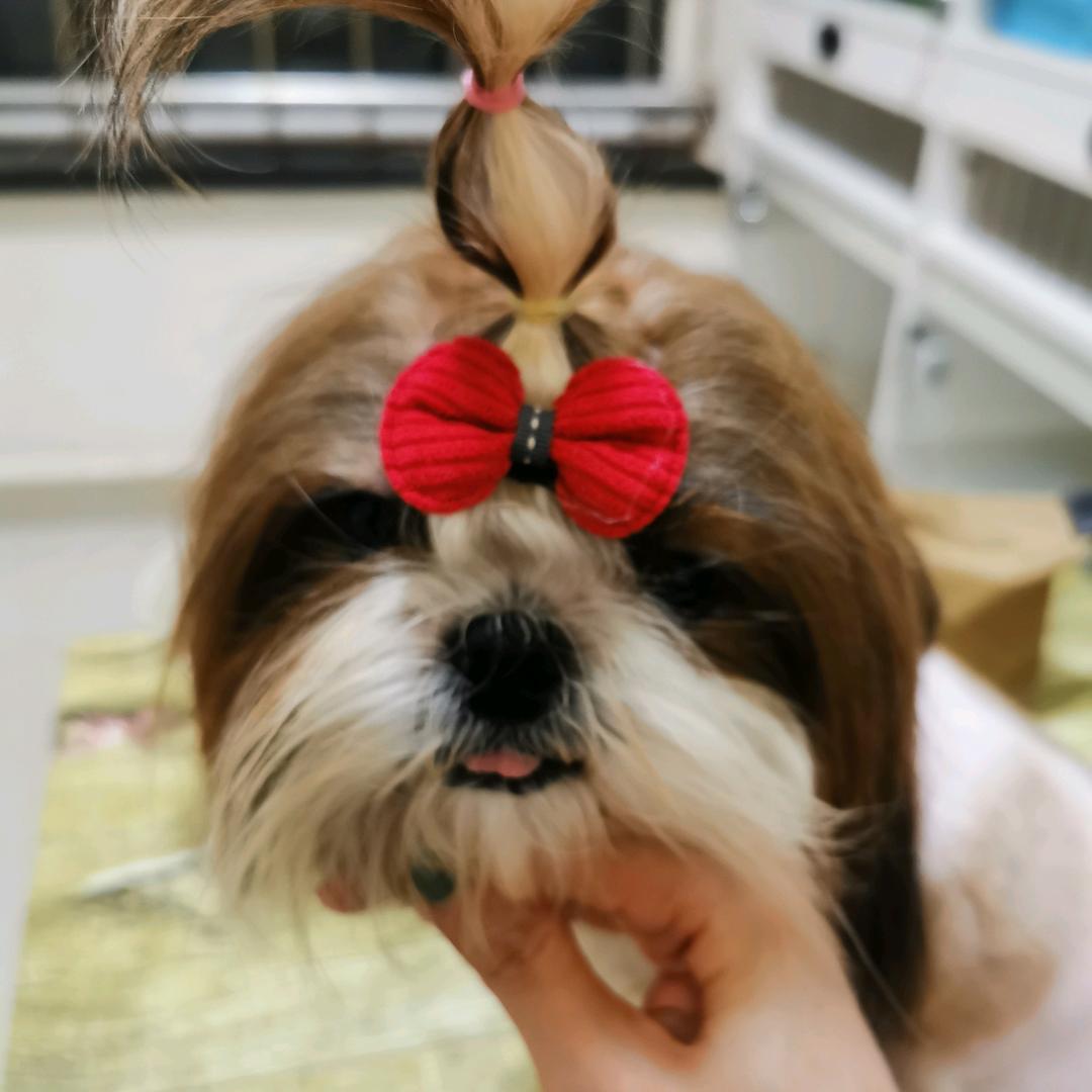 Q萌家