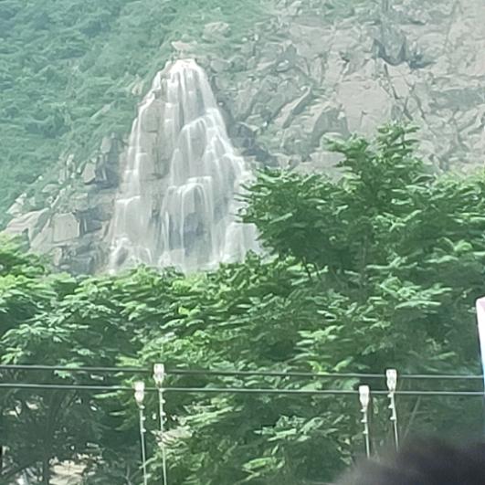 洒脱