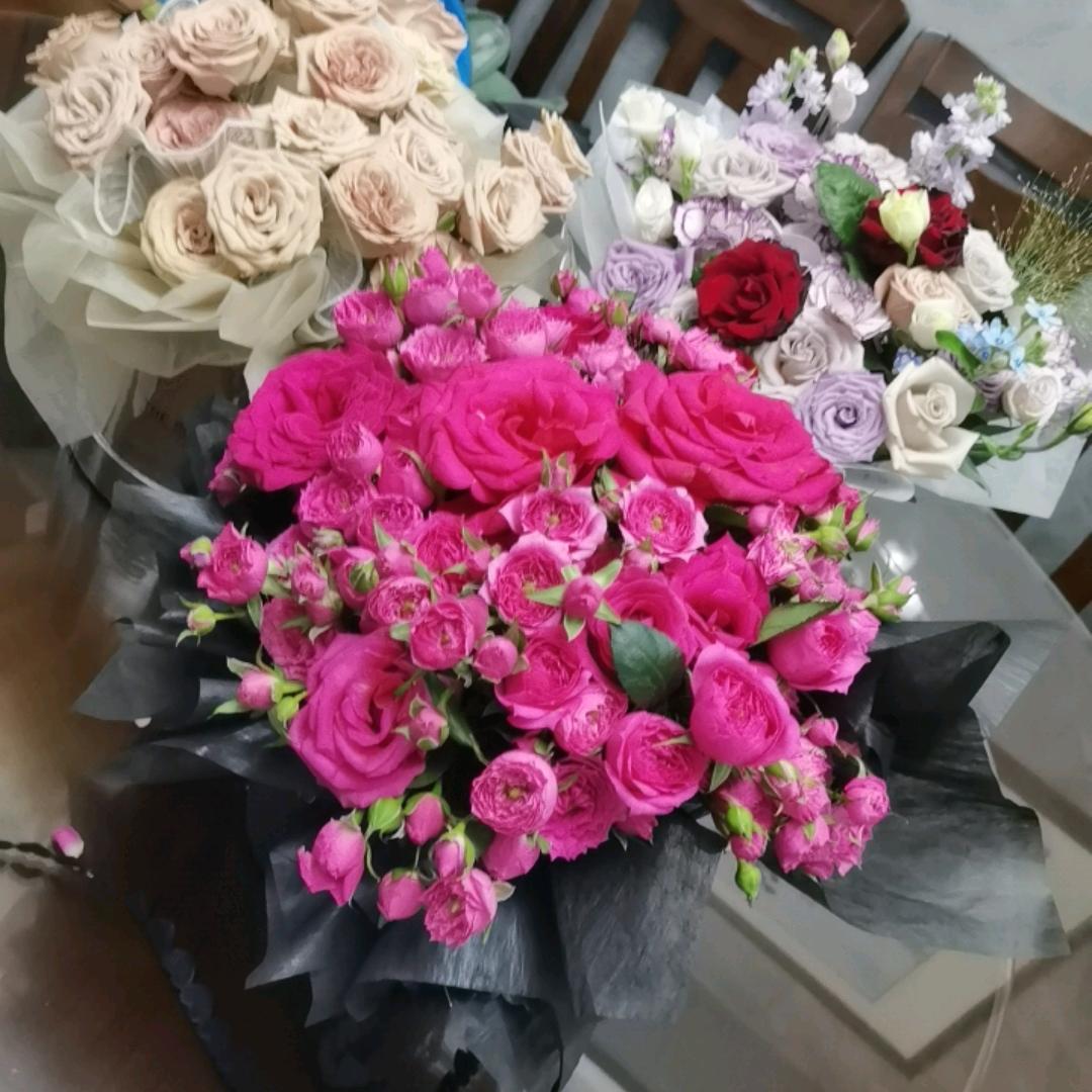 芬