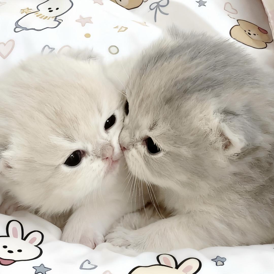 水猪