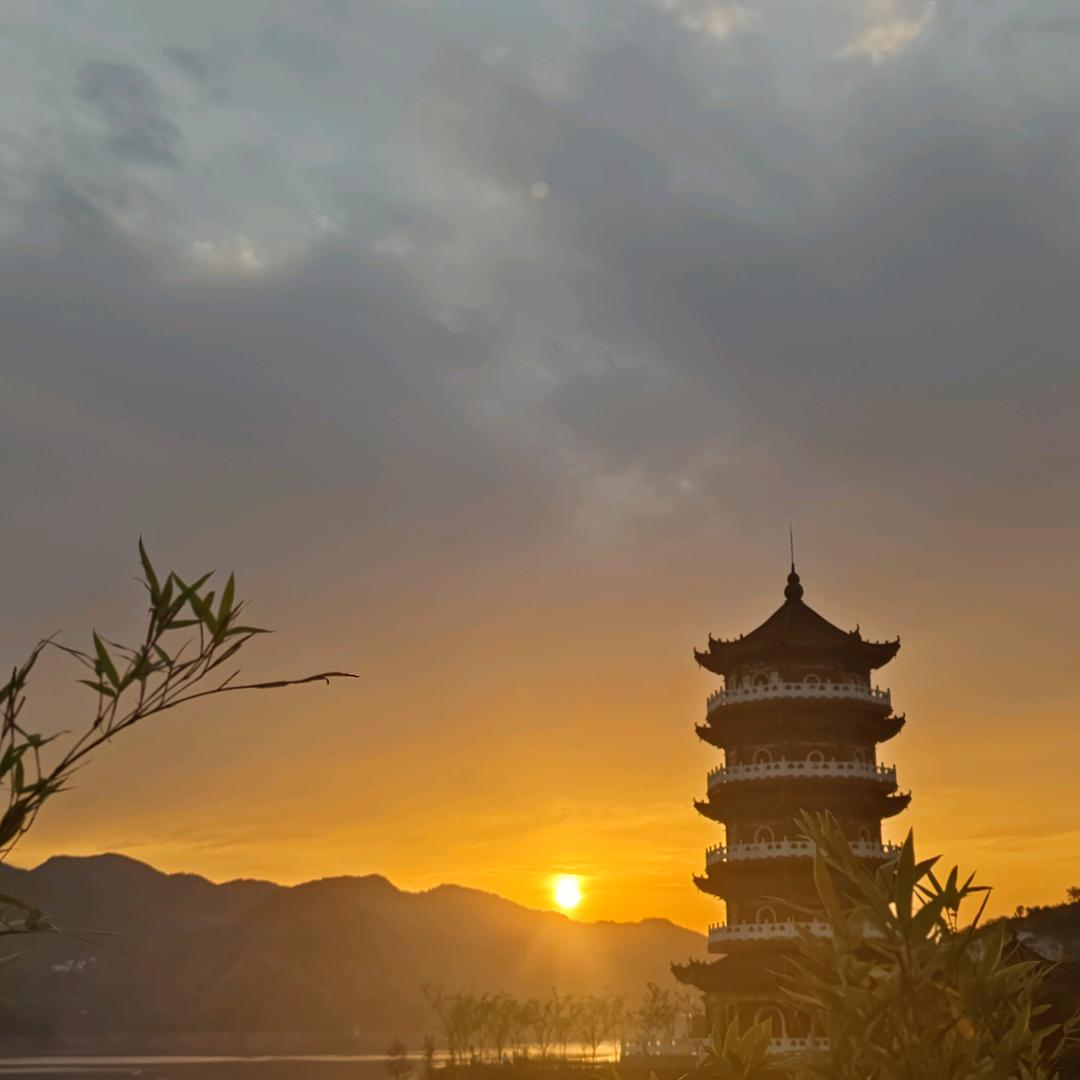 ℘树心子এ᭄ꦿ℘
