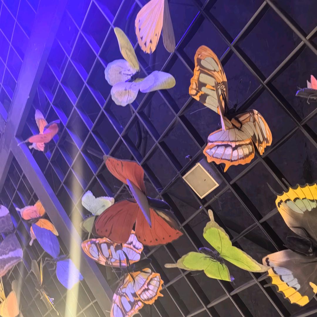 麻辣冷吃当天现做，拒绝隔夜🙅