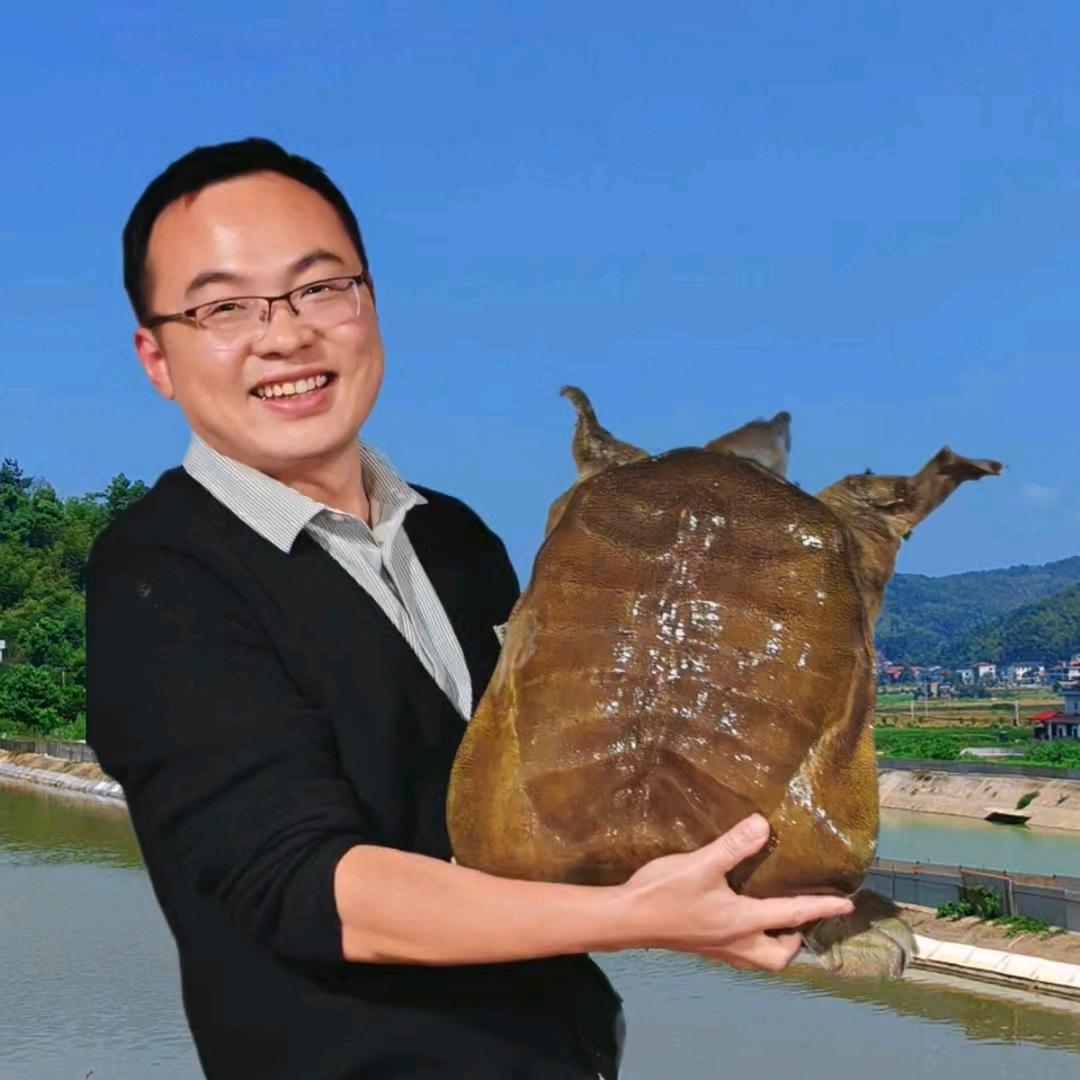归元南岳泉水甲鱼原产地批发