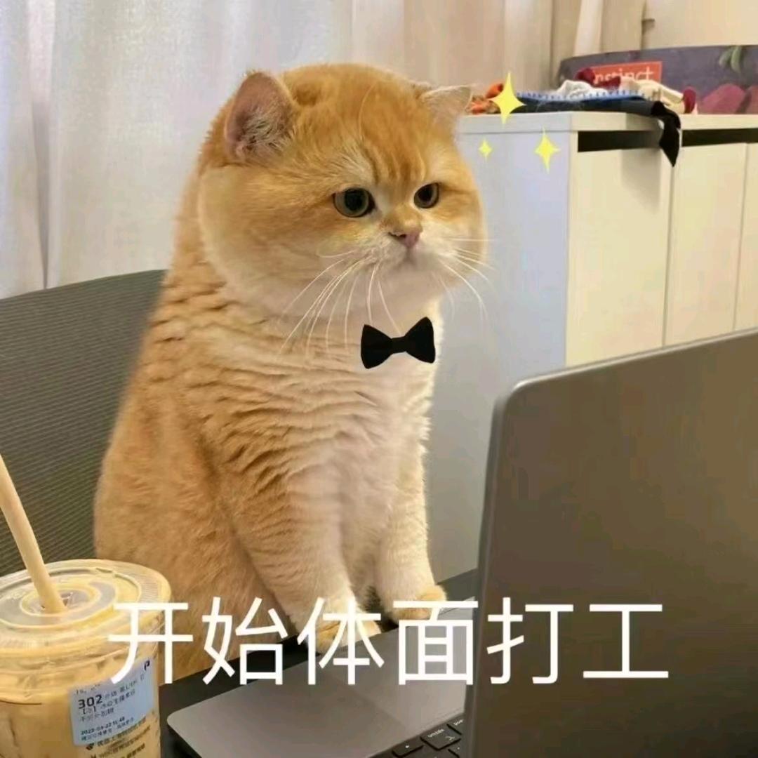 落日晚风的尽头