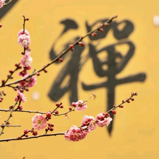 慈恩阁（免米渡）