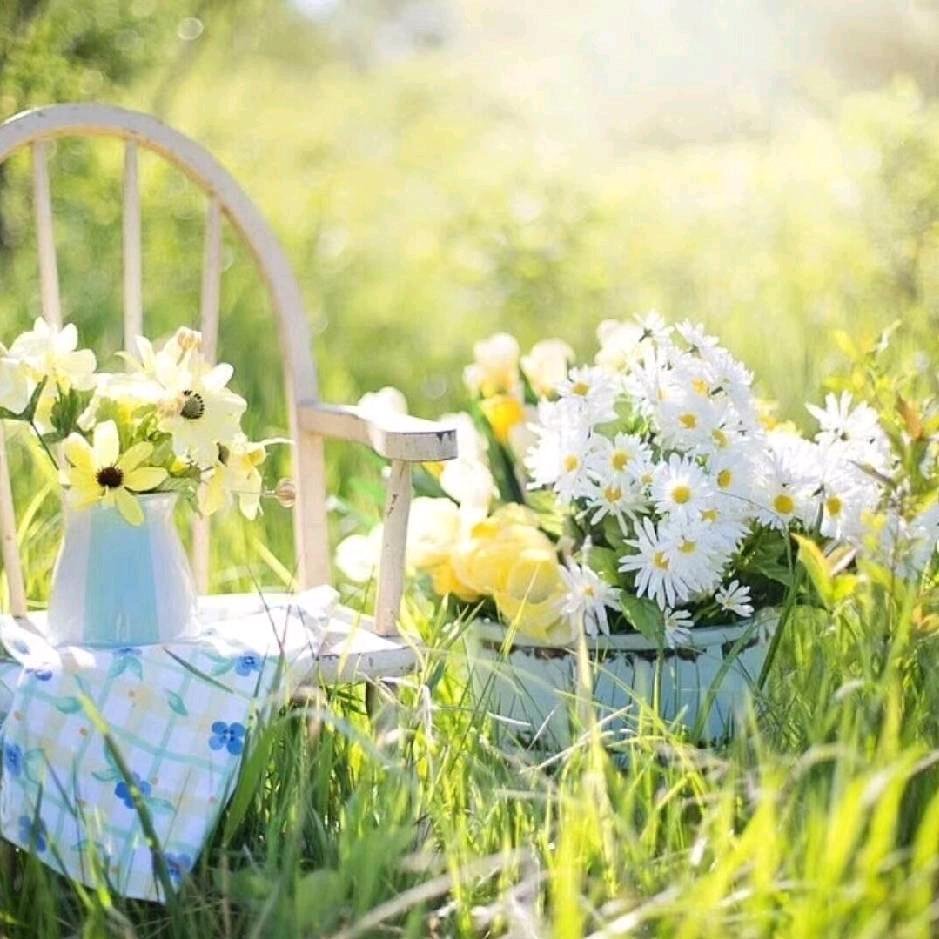 L.莉（专业美容培训）