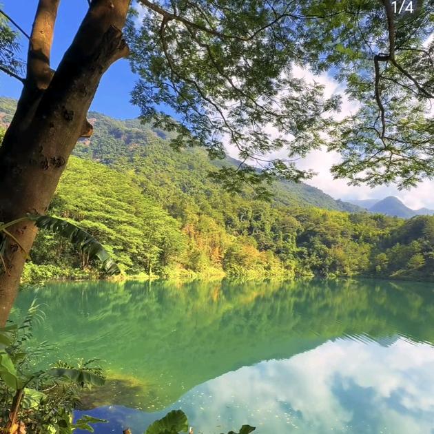 那年夏至秋来头像
