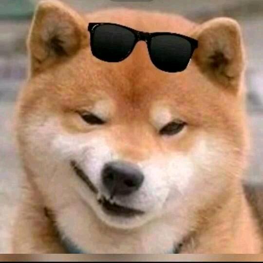 年夏