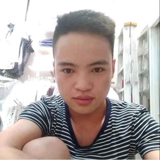小杨