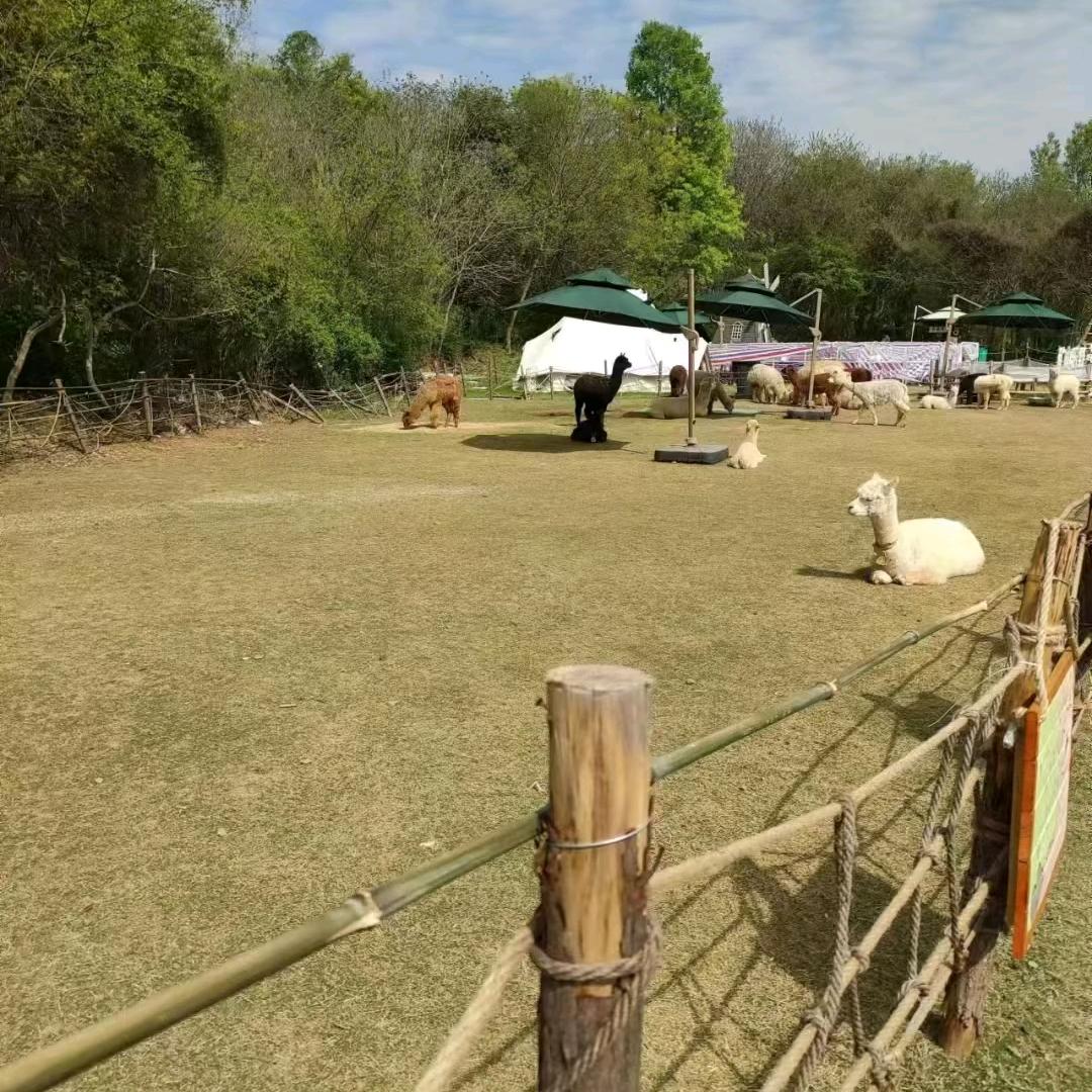 小彭选家电（攻略在主页置顶）