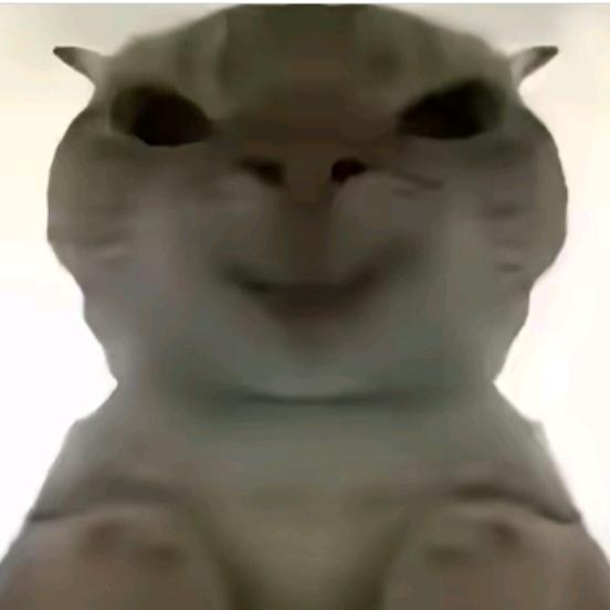 鼠鼠